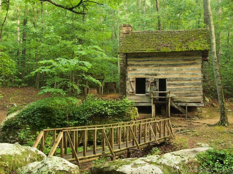 Holly Springs National Forest Marshall County